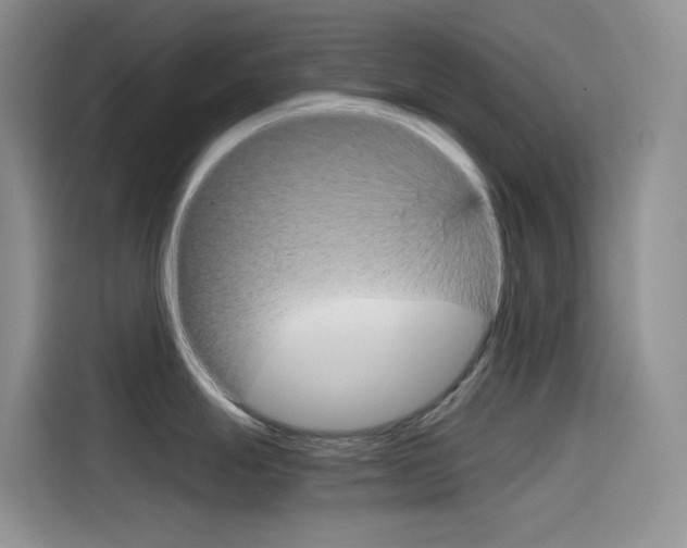 X0000114431247200910161026