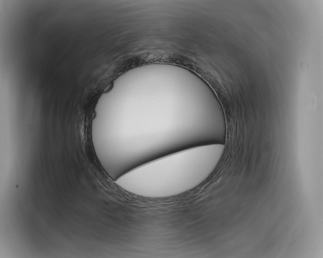 X0000114431250200910161025