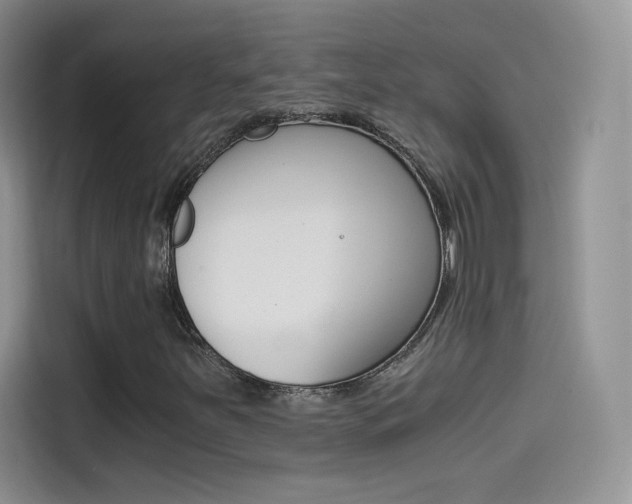 X0000114431251200910161025