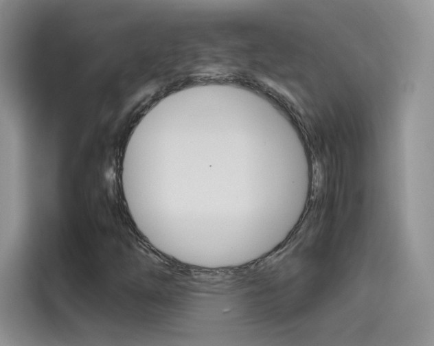 X0000114431254200910161025