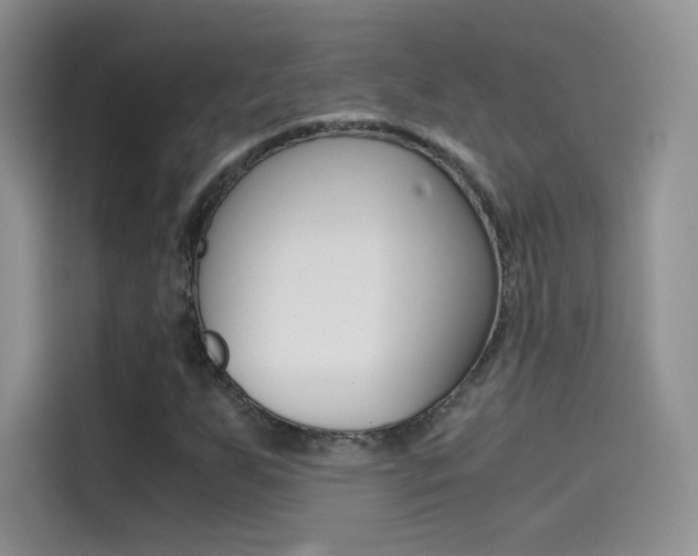 X0000114431255200910161025