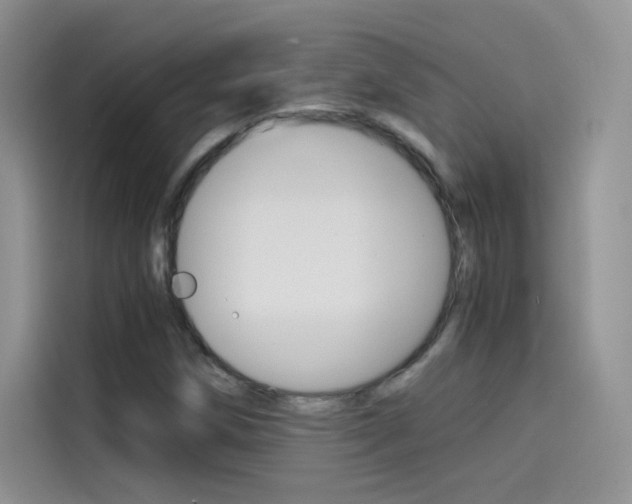 X0000114431258200910161025