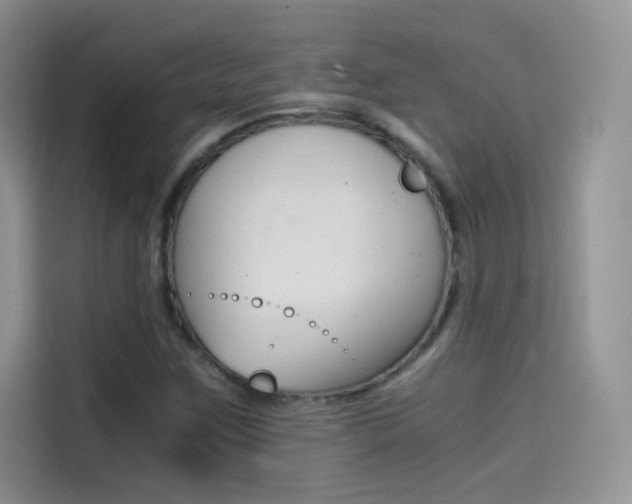 X0000114431259200910161025