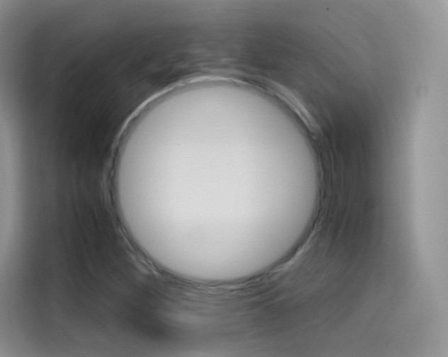 X0000114431260200910161025
