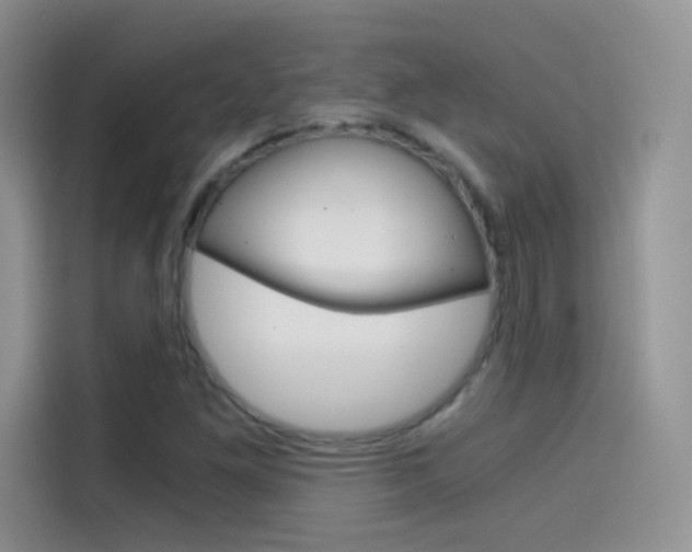 X0000114431261200910161025