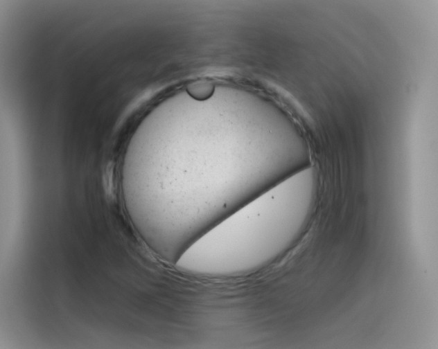 X0000114431262200910161025