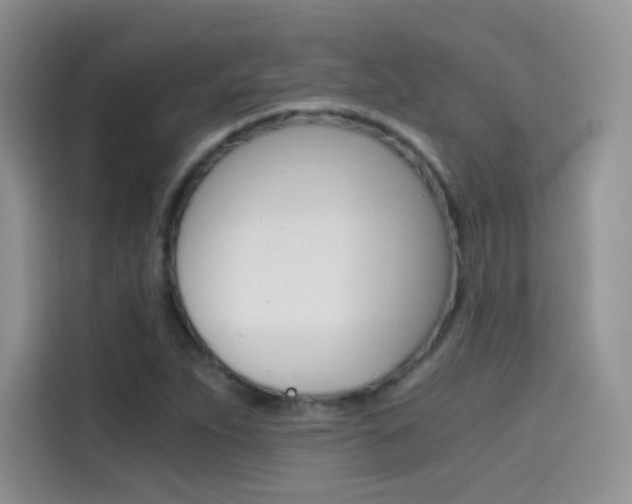 X0000114431263200910161025