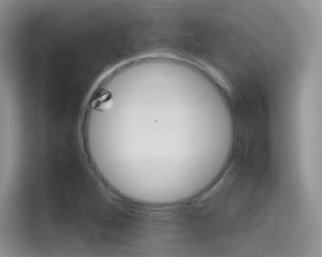 X0000114431264200910161025