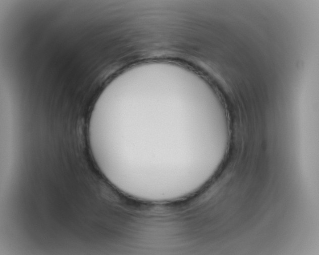 X0000114431265200910161025