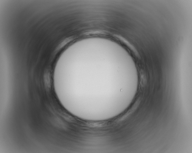 X0000114431266200910161025