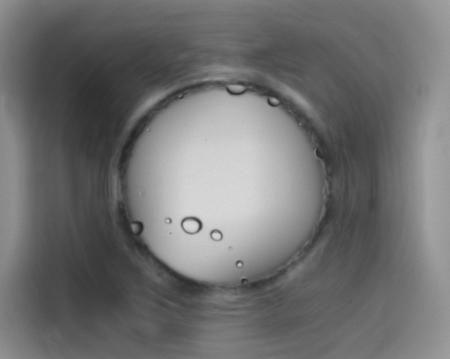 X0000114431267200910161025