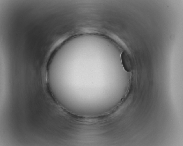 X0000114431269200910161025