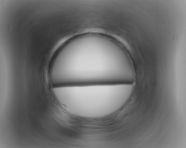 X0000114431271200910161025