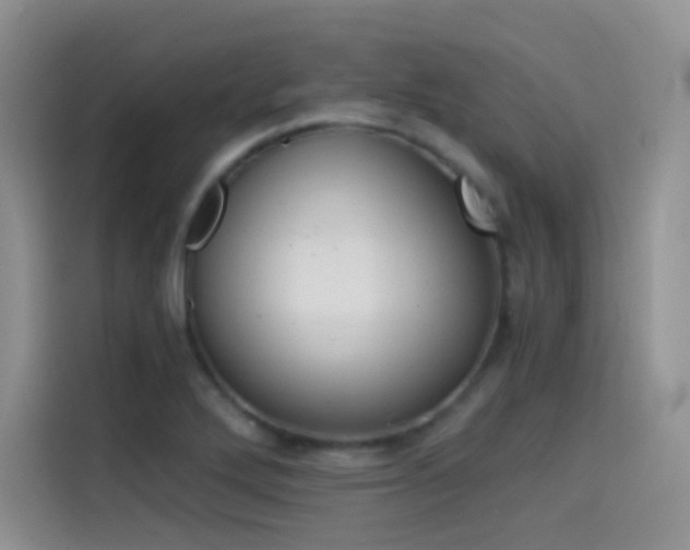 X0000114431272200910161025