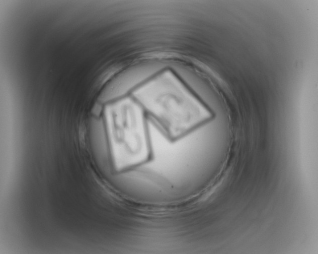 X0000114431273200910161025