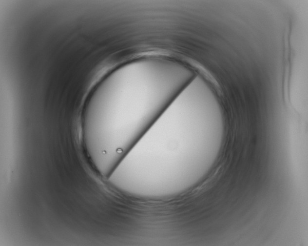 X0000114431274200910161025