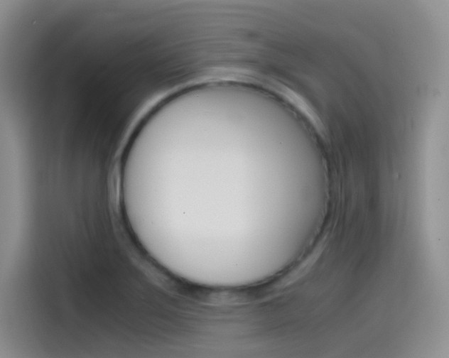 X0000114431275200910161025