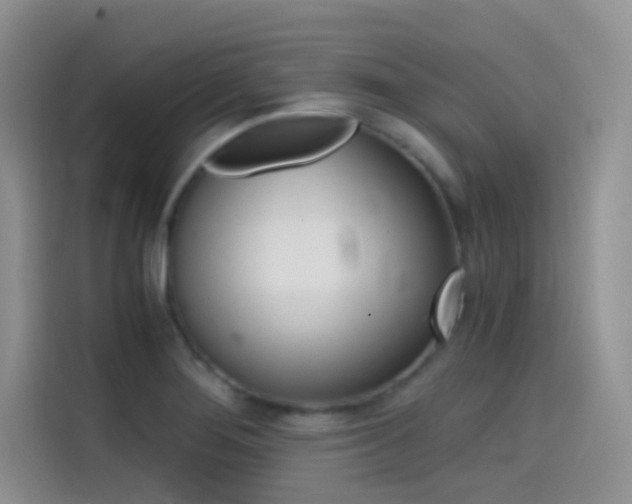 X0000114431276200910161025