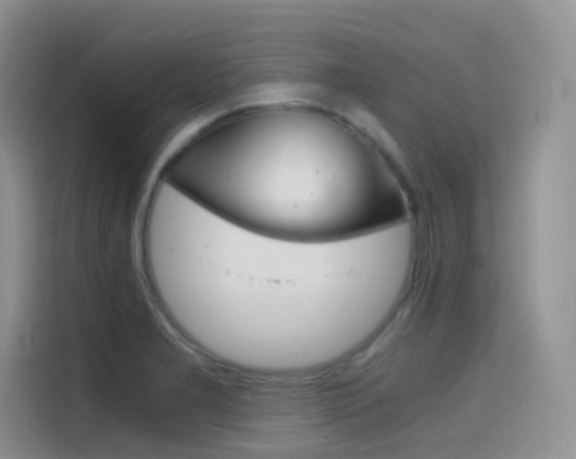 X0000114431277200910161025