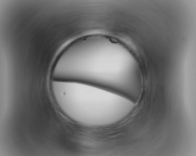 X0000114431279200910161025