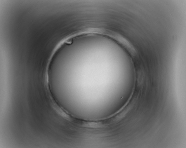 X0000114431280200910161025