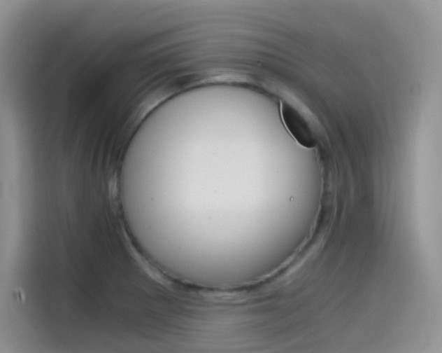 X0000114431281200910161025