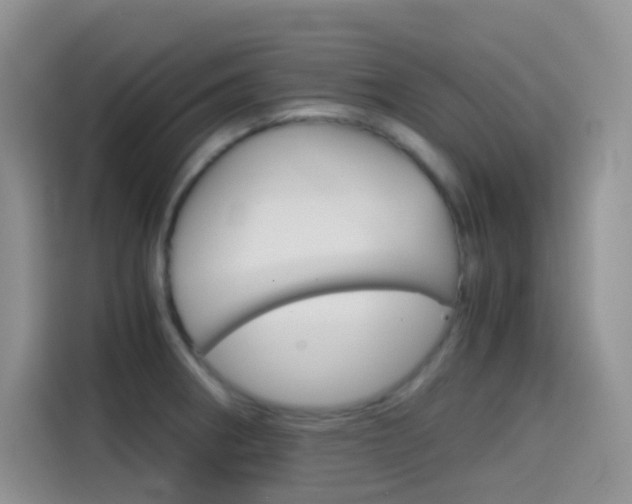 X0000114431282200910161024