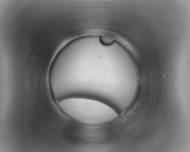 X0000114431283200910161024