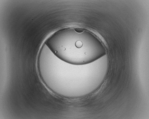 X0000114431285200910161024