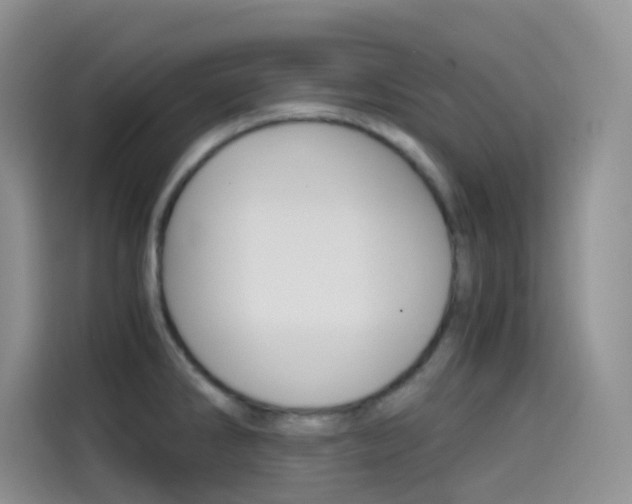X0000114431286200910161024
