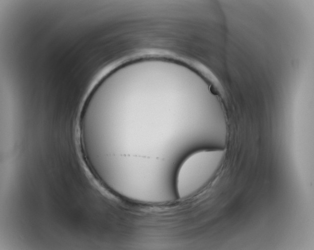 X0000114431287200910161024