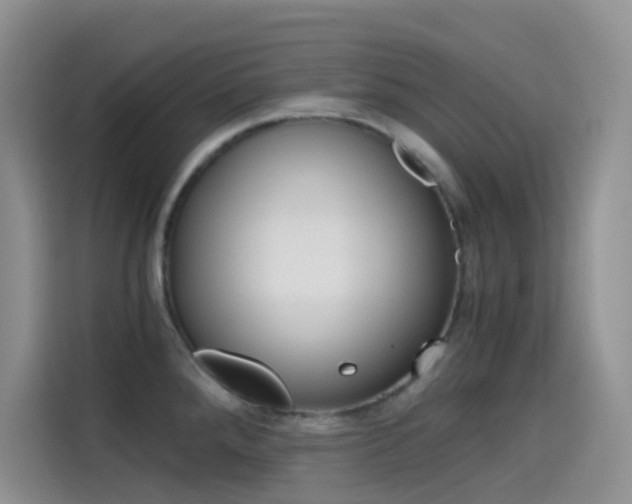X0000114431288200910161024