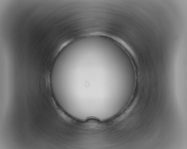 X0000114431289200910161024