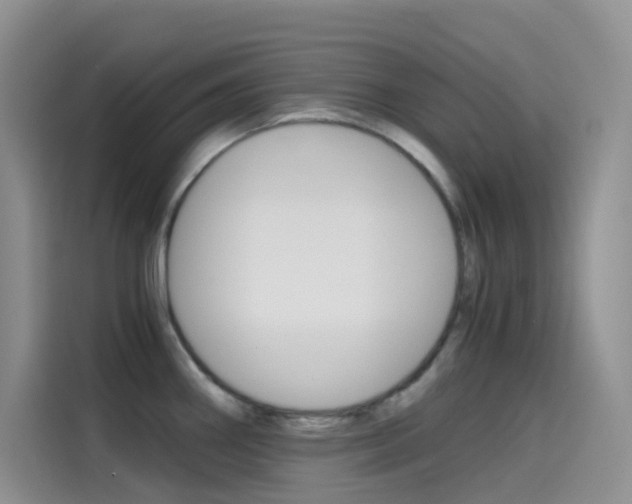 X0000114431290200910161024