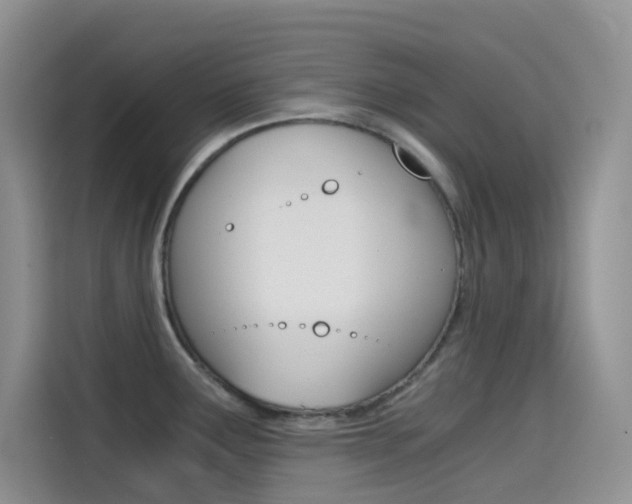X0000114431291200910161024