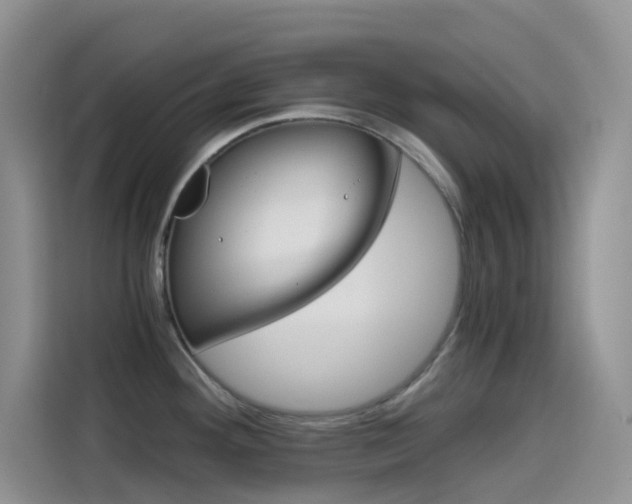 X0000114431292200910161024