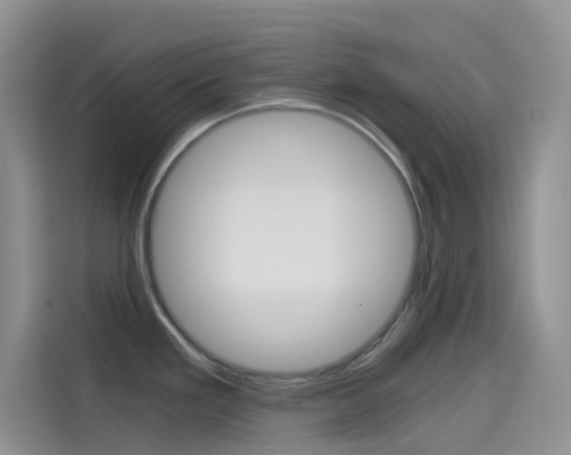 X0000114431293200910161024