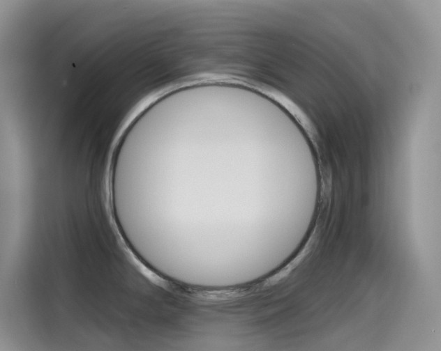 X0000114431294200910161024