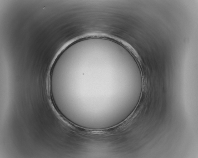 X0000114431295200910161024