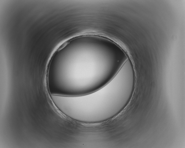 X0000114431296200910161024