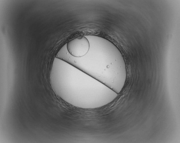 X0000114431297200910161024