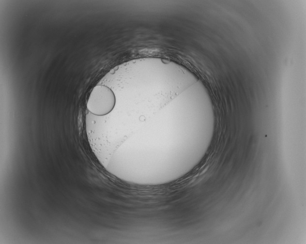 X0000114431299200910161024