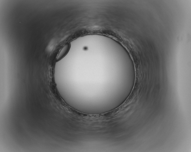 X0000114431301200910161024