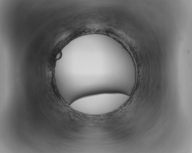 X0000114431302200910161024