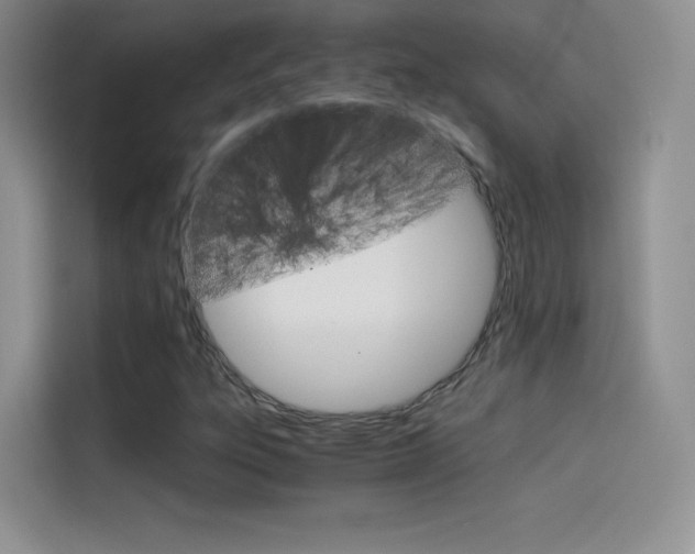 X0000114431303200910161024