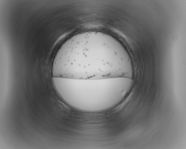 X0000114431306200910161024