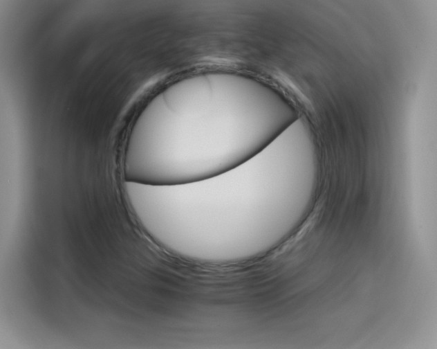 X0000114431307200910161024