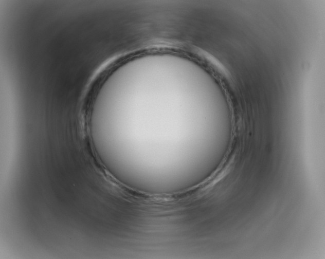 X0000114431310200910161024