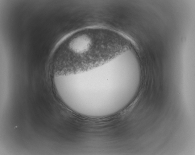 X0000114431311200910161024