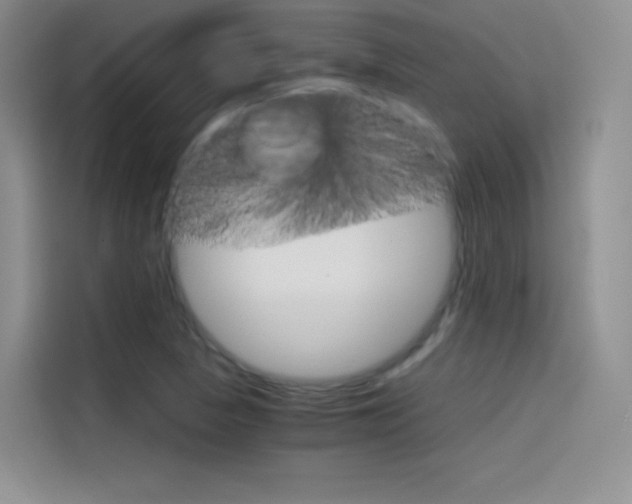 X0000114431313200910161024